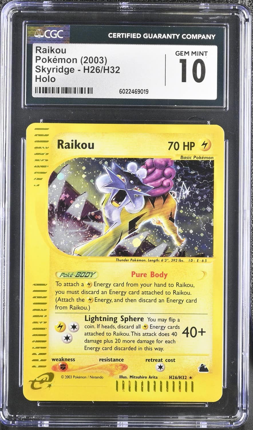 Raikou