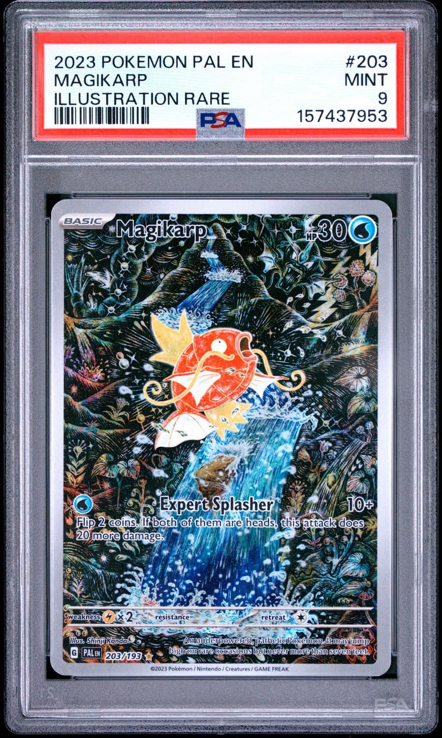 Magikarp