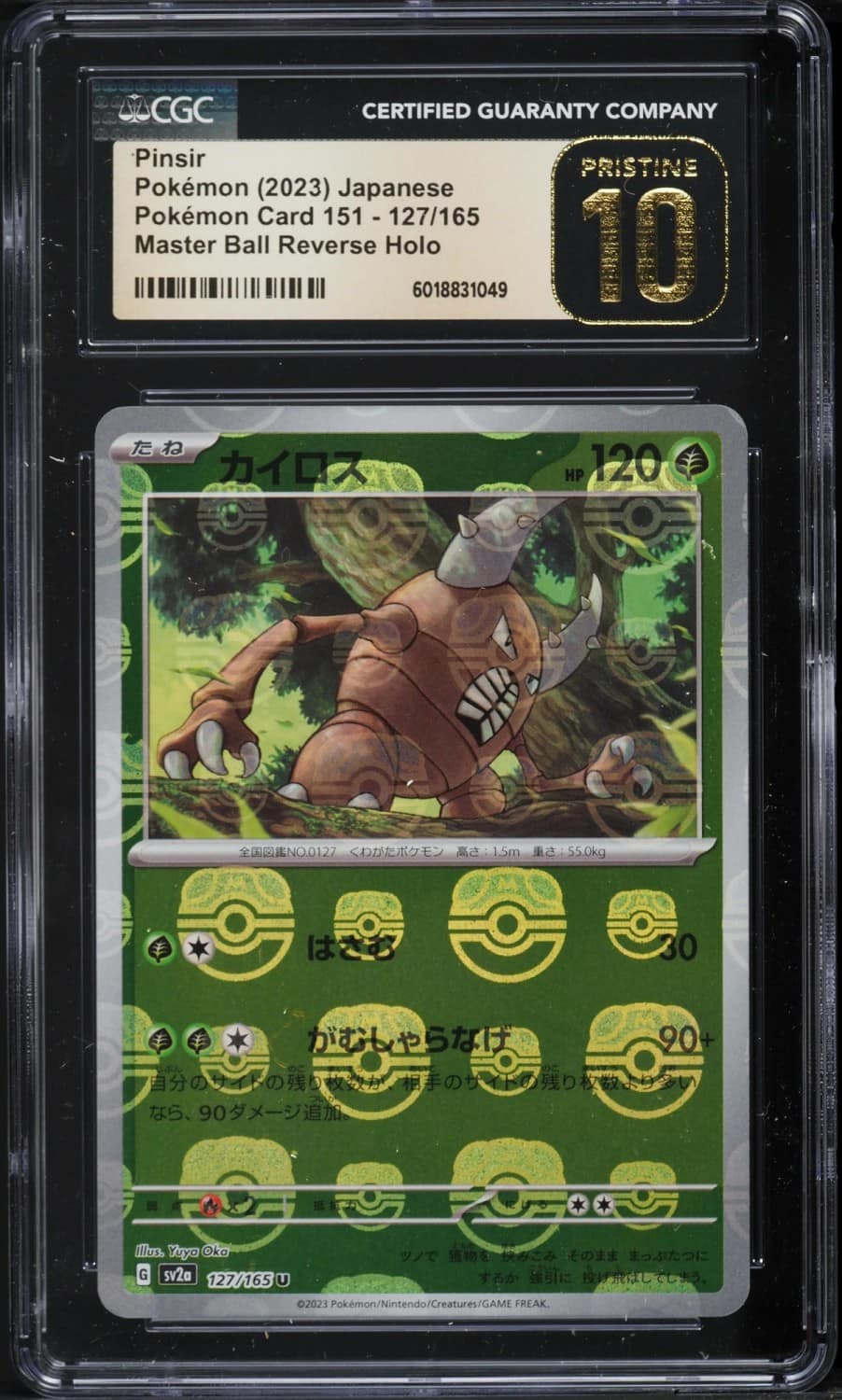 Pinsir