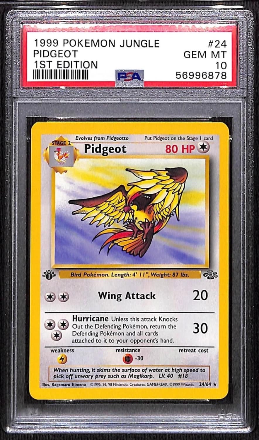 Pidgeot