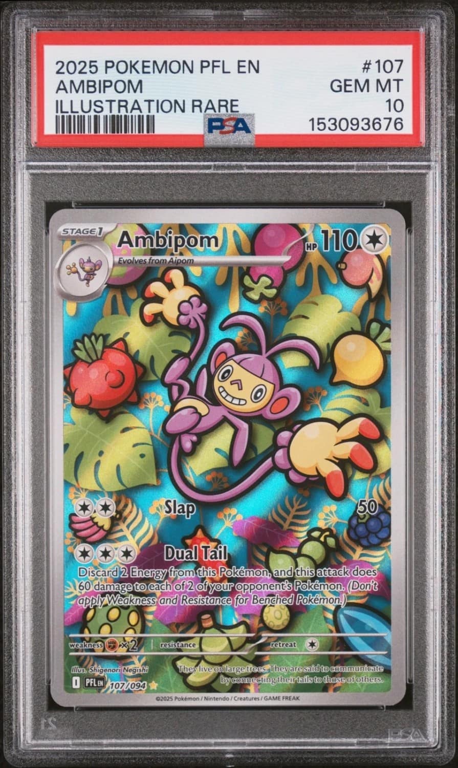 Ambipom