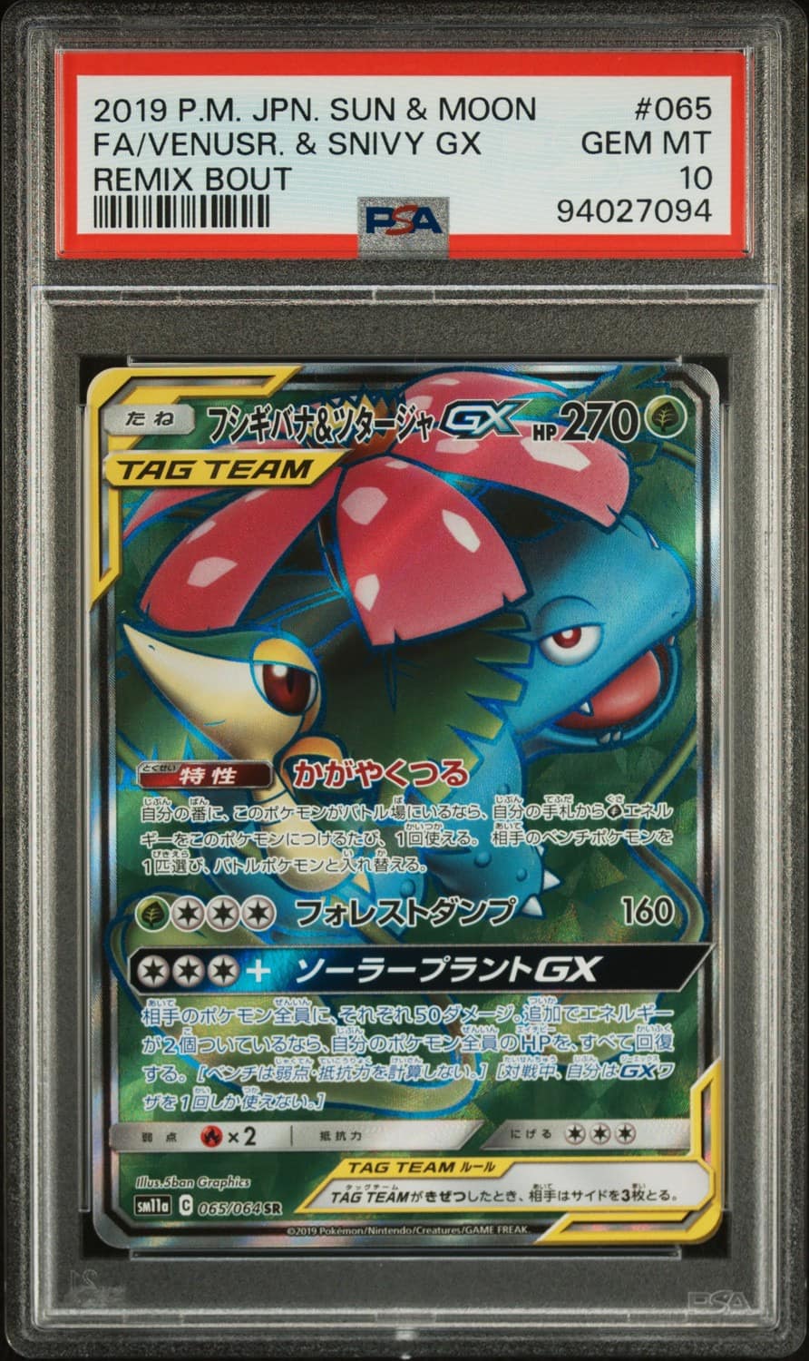 Venusaur & Snivy Gx