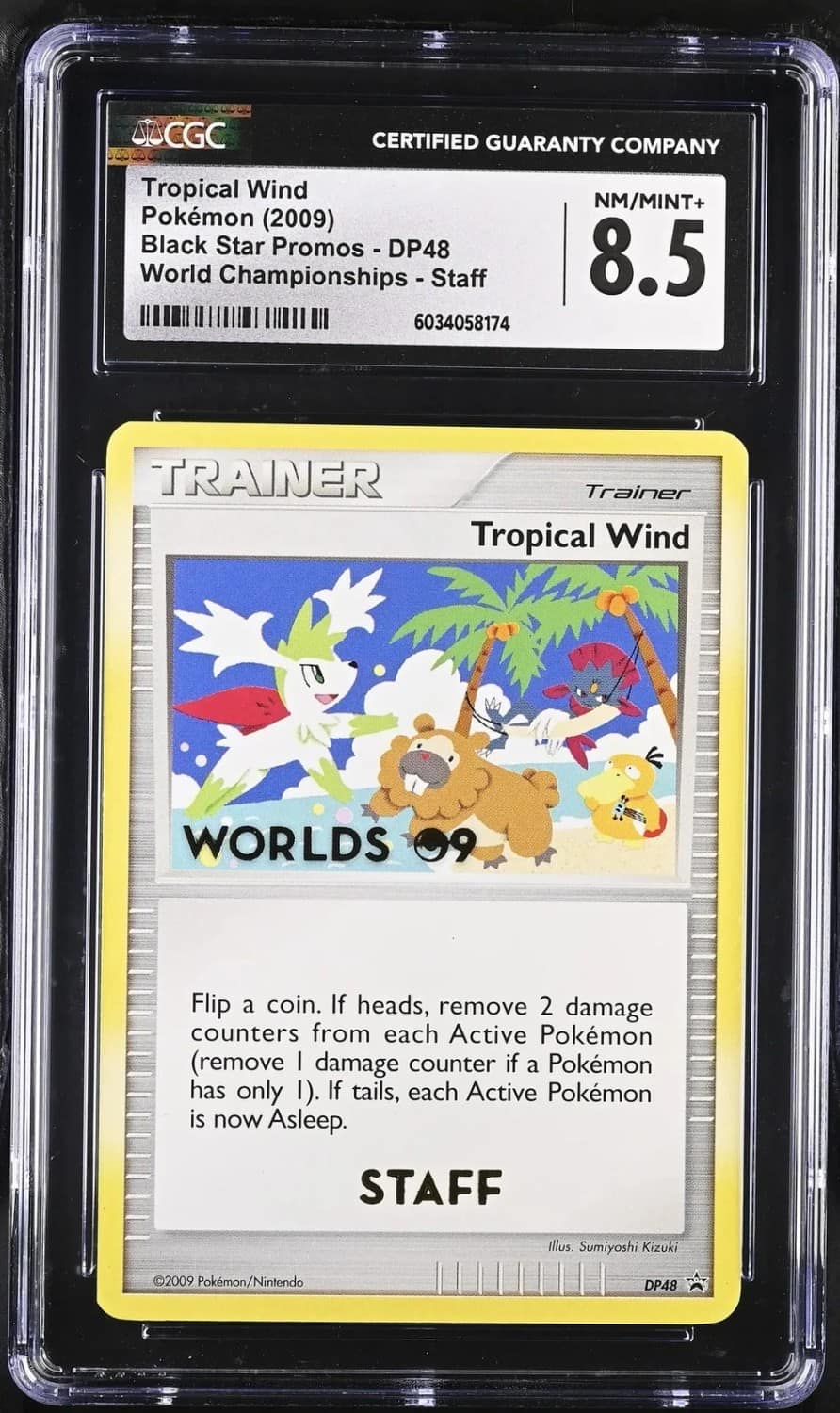 Tropical Wind