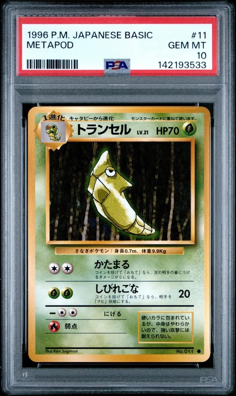 Metapod