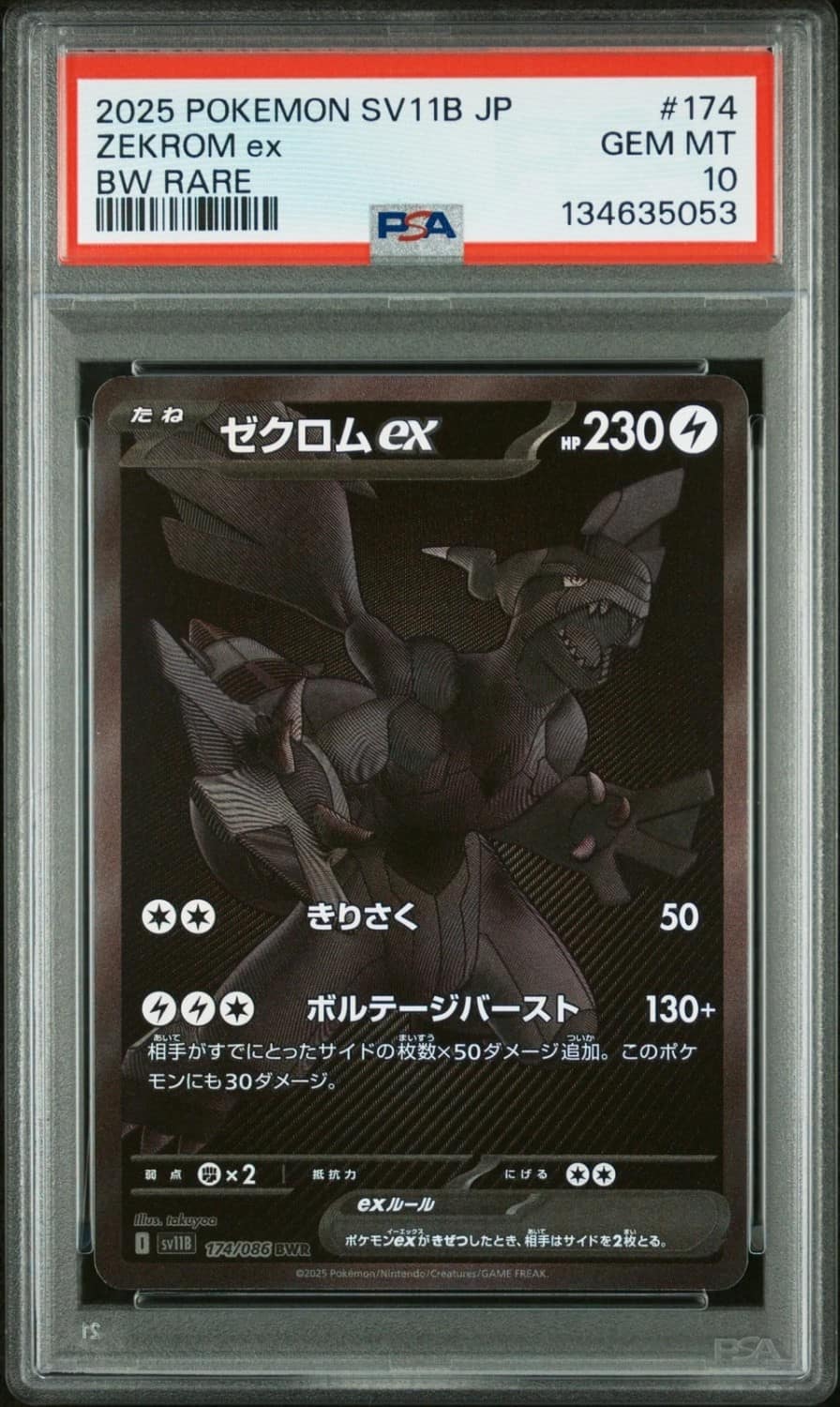 Zekrom Ex