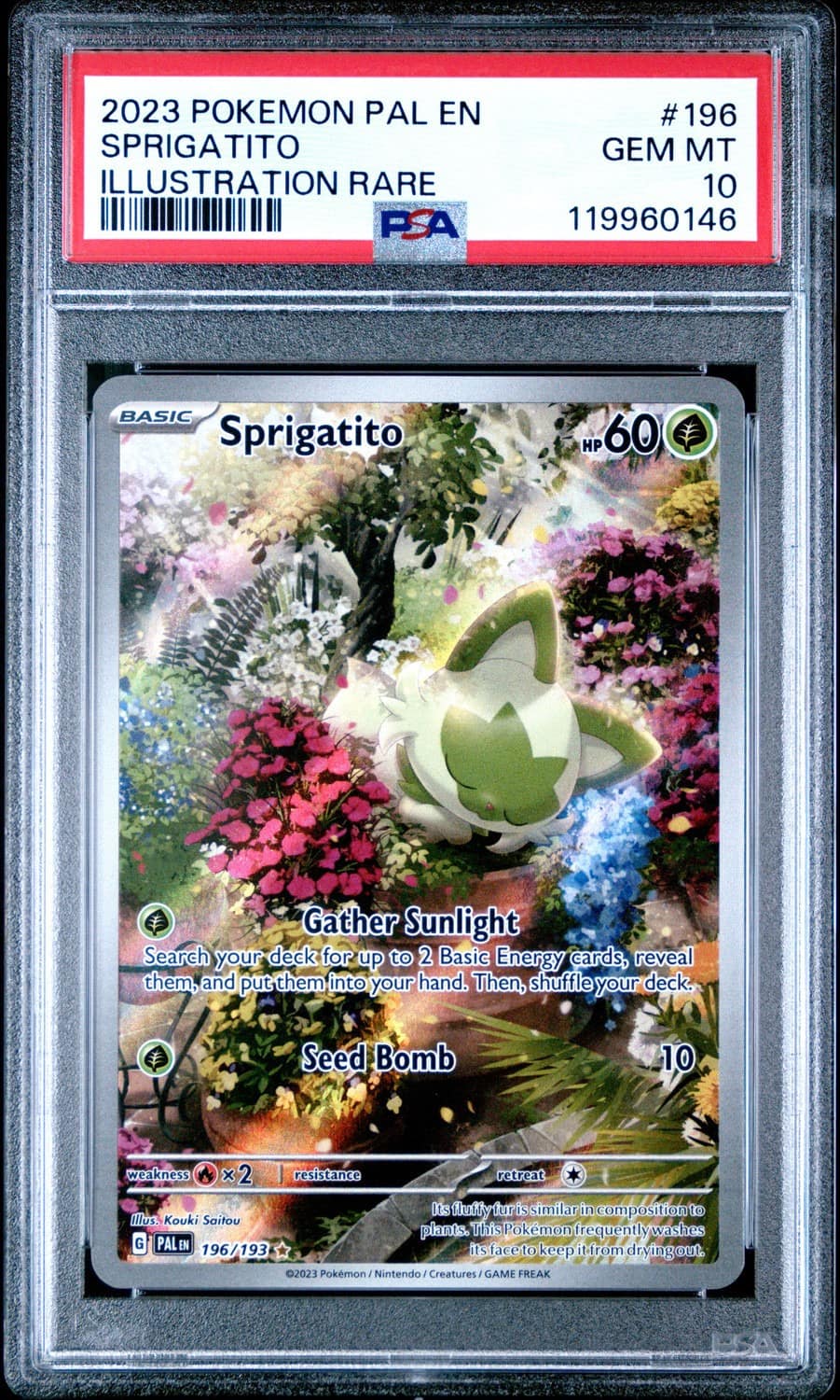 Sprigatito
