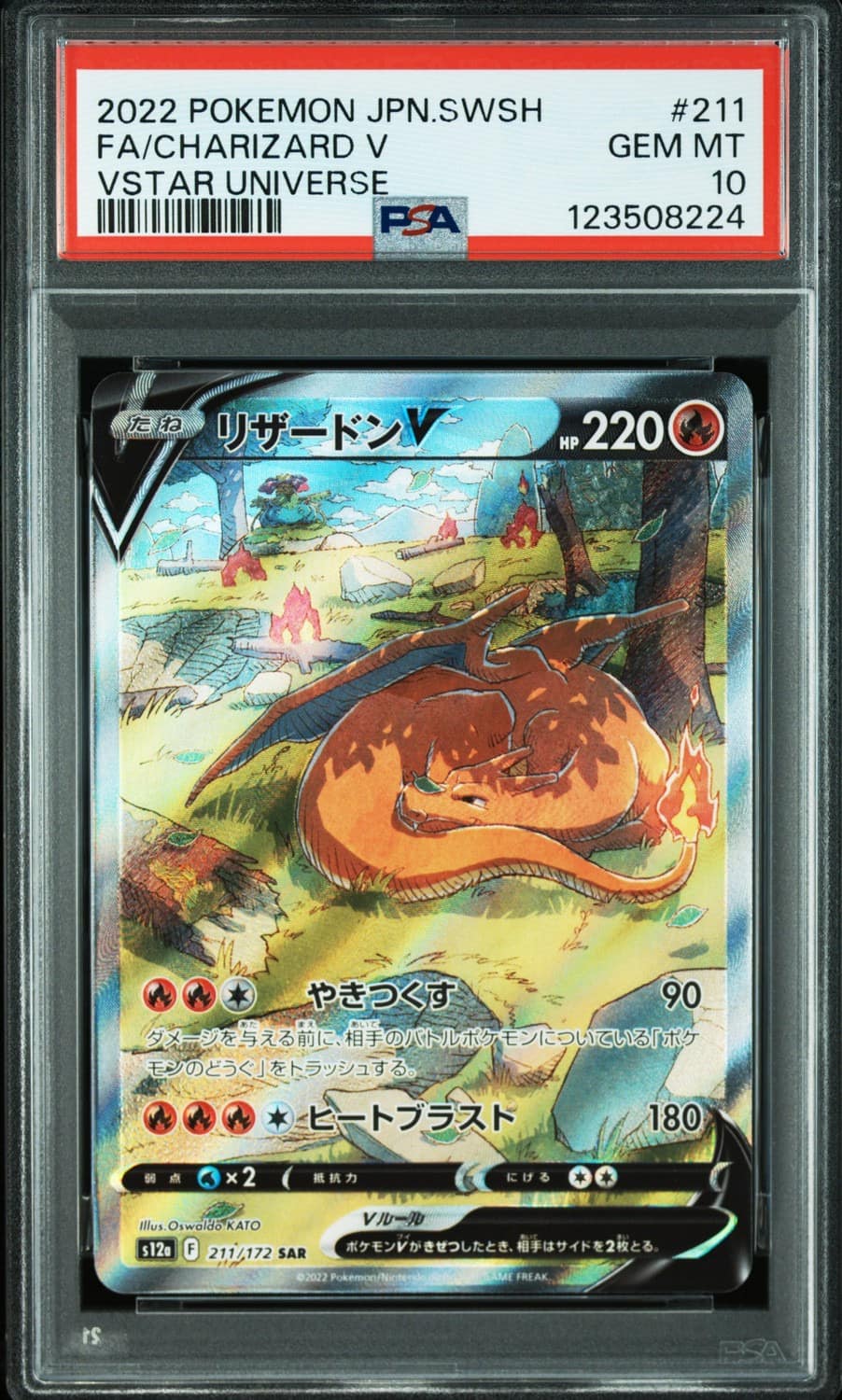 Charizard V