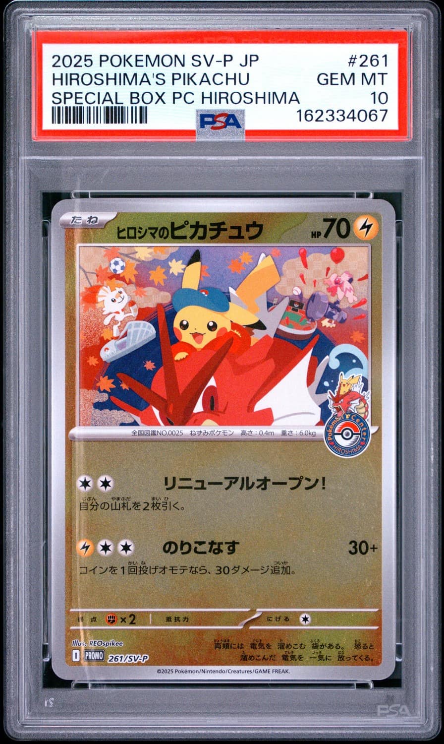 Hiroshima'S Pikachu