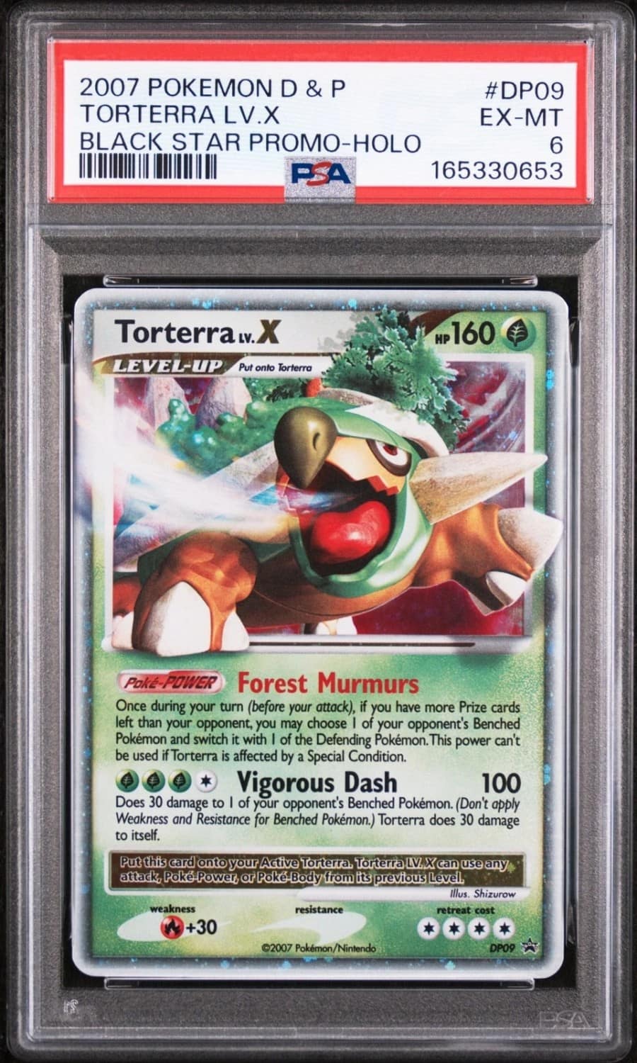 Torterra Lv.x