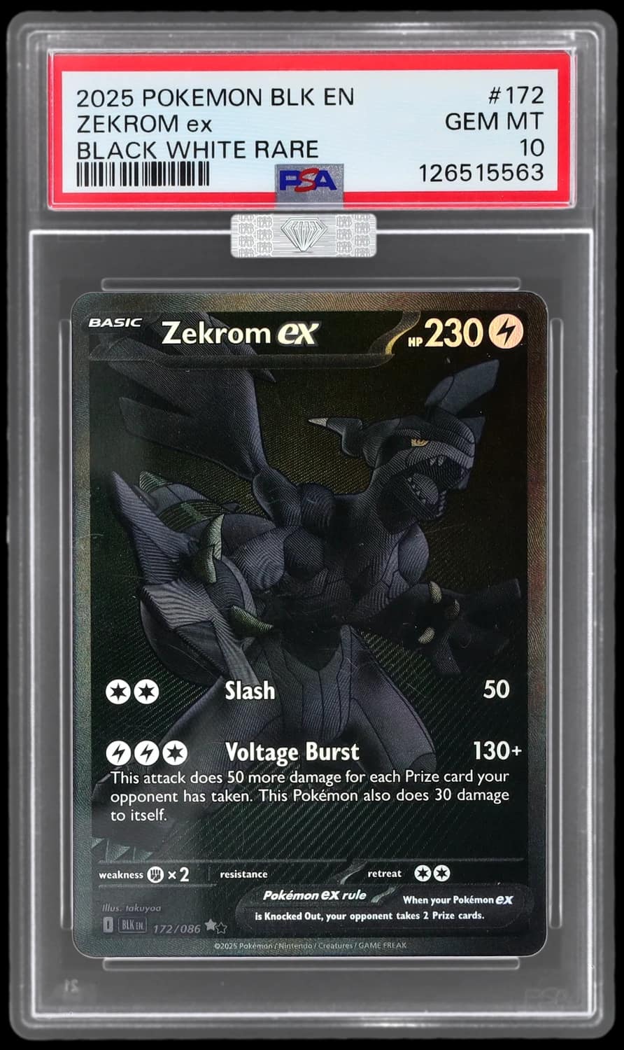 Zekrom Ex