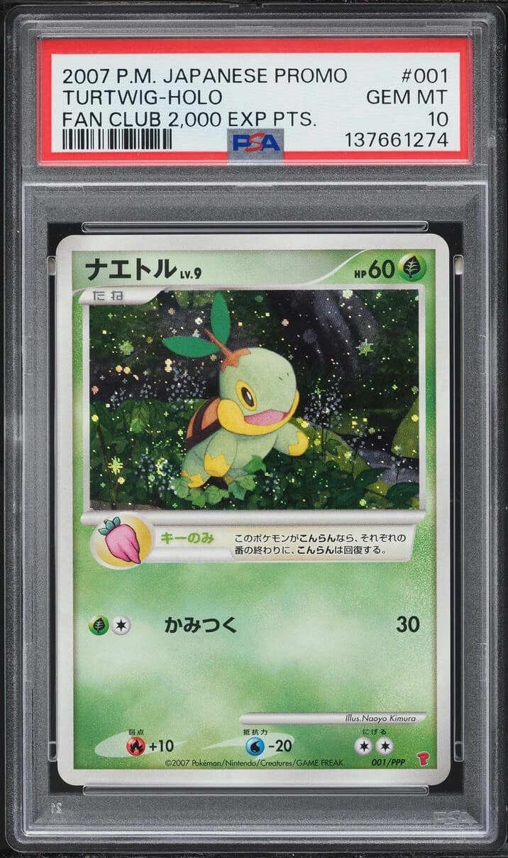 Turtwig