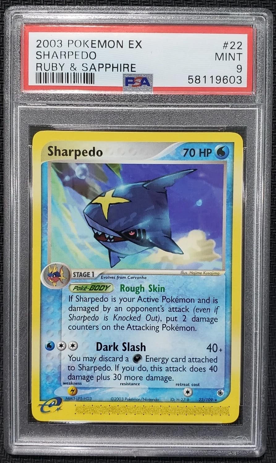 Sharpedo