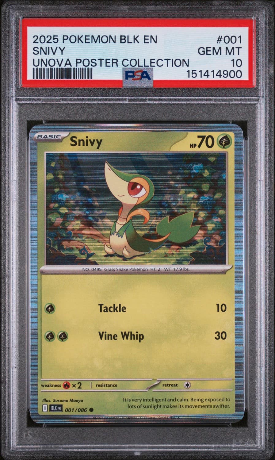 Snivy
