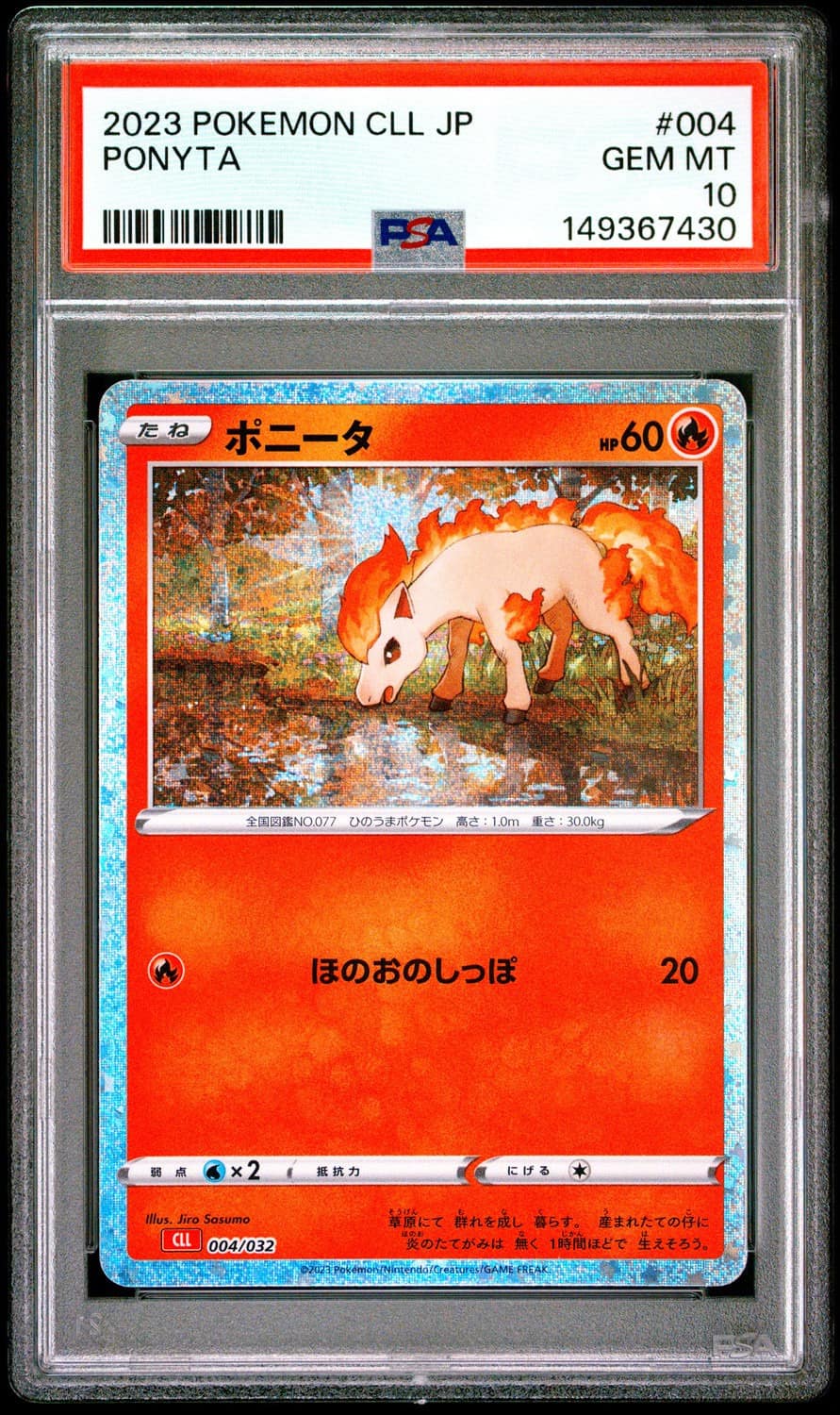 Ponyta