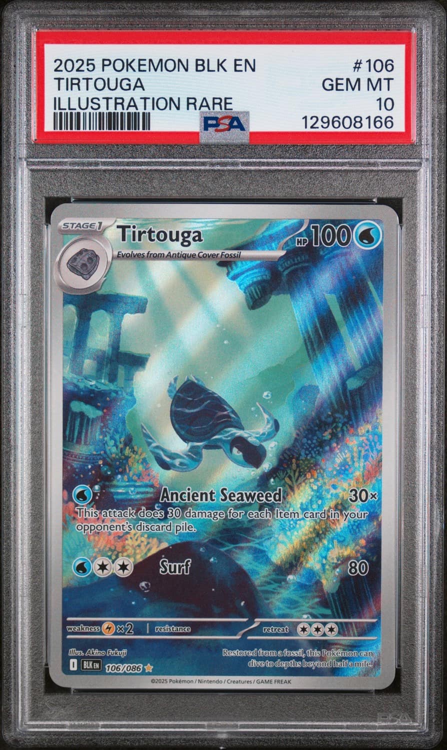 Tirtouga