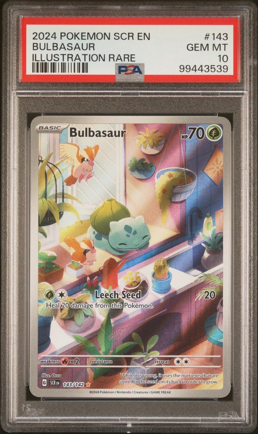 Bulbasaur