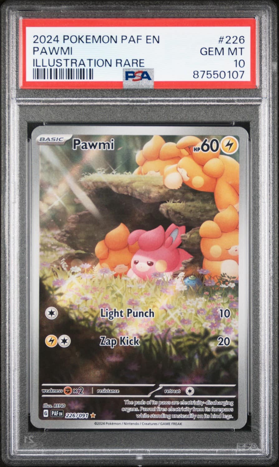 Pawmi