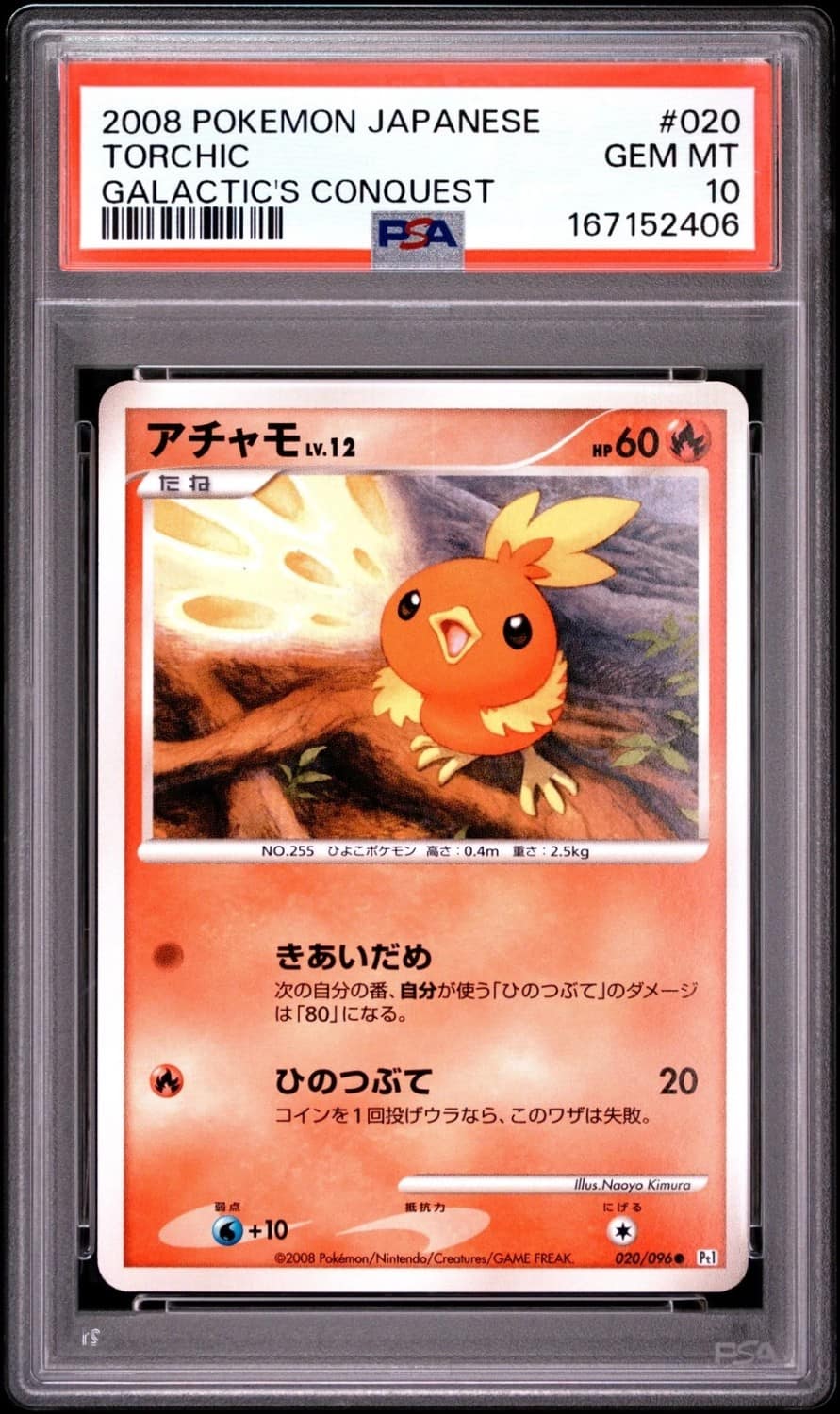 Torchic