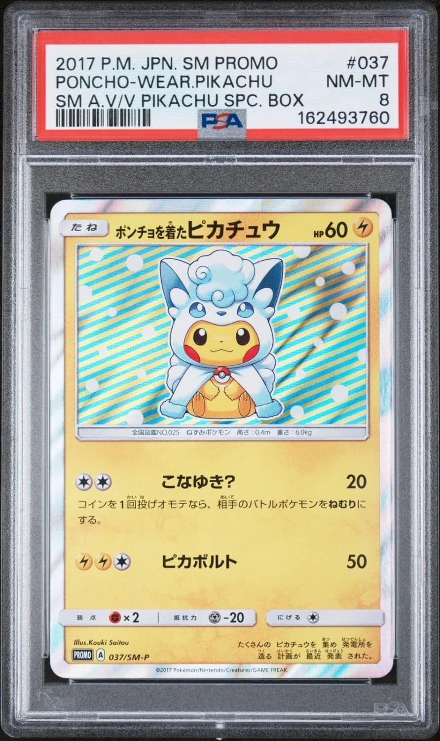Poncho-Wearing Pikachu