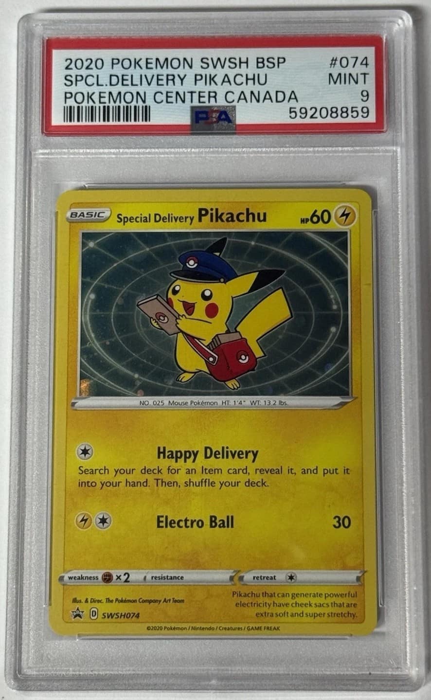 Special Delivery Pikachu