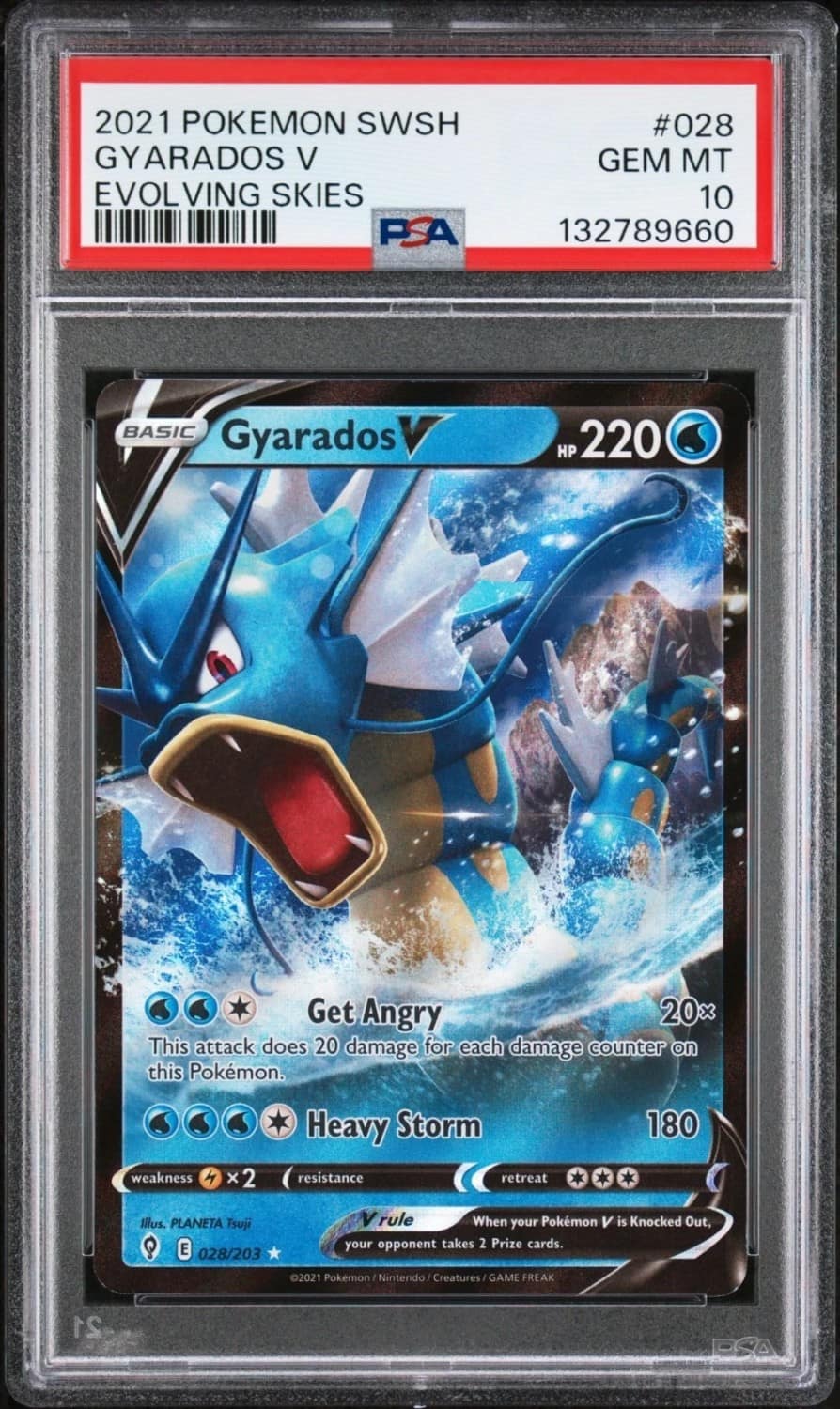 Gyarados V