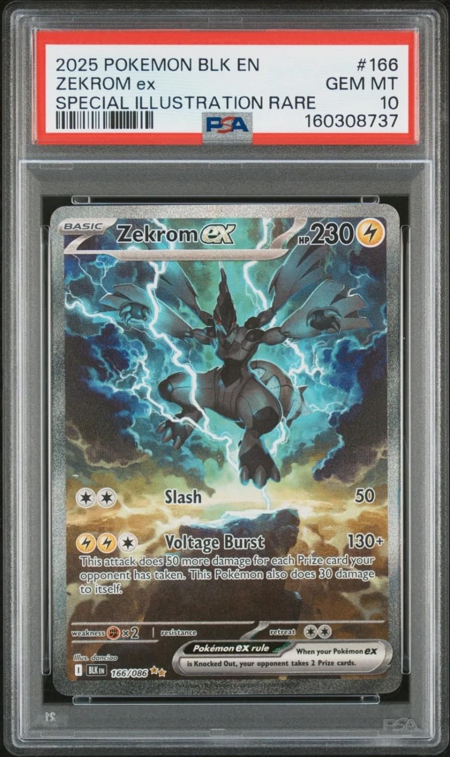 Zekrom Ex