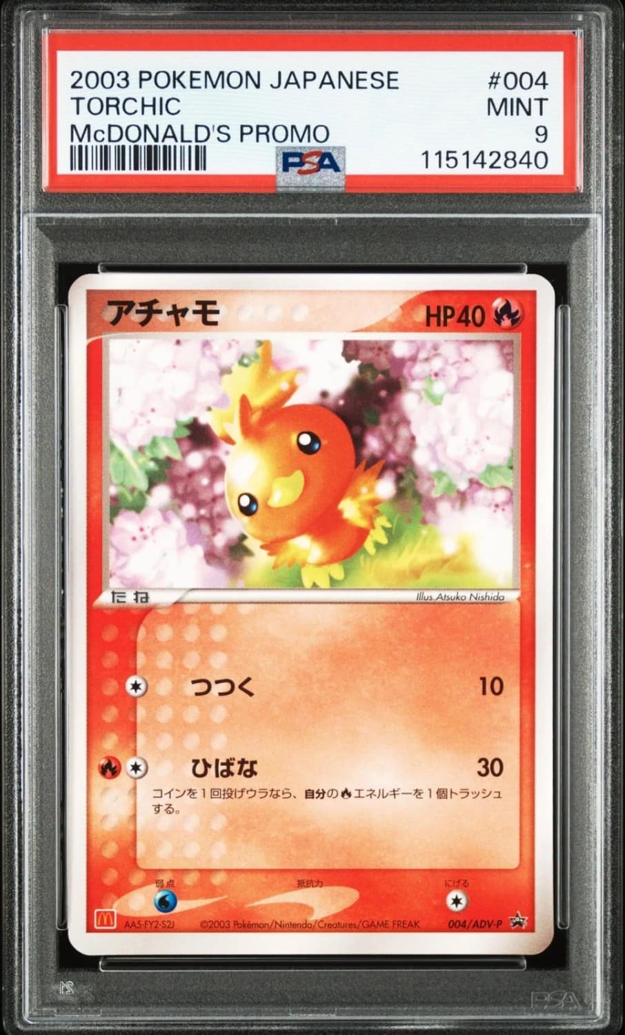 Torchic