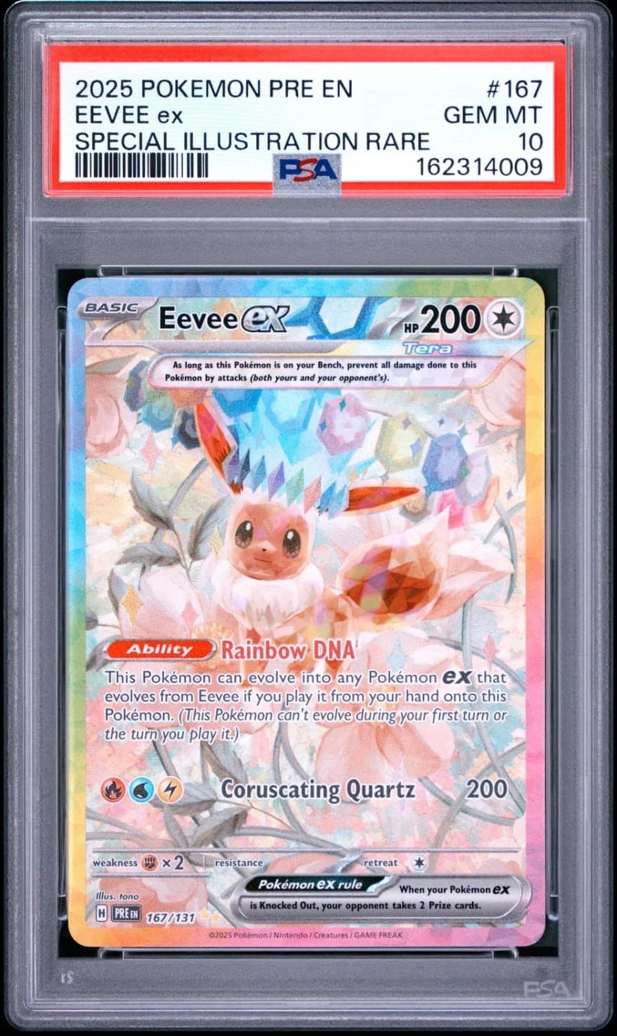 Eevee Ex