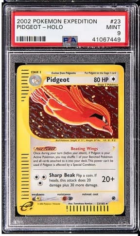 Pidgeot