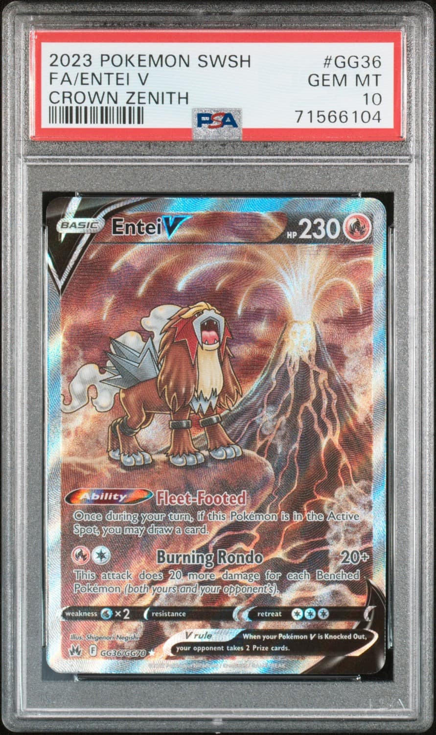 Entei V
