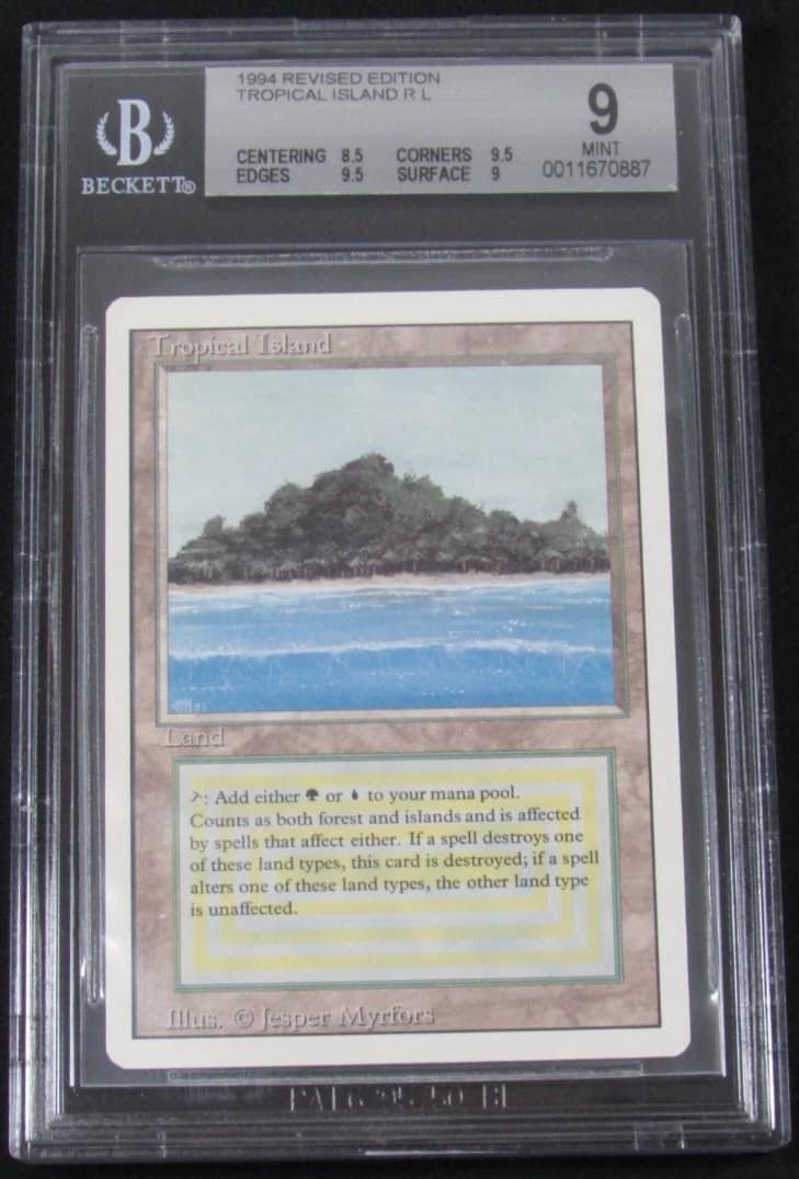 Tropical Island