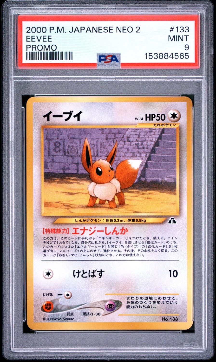 Eevee