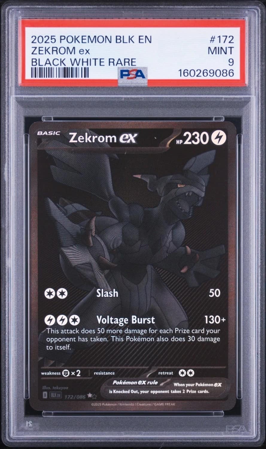 Zekrom Ex