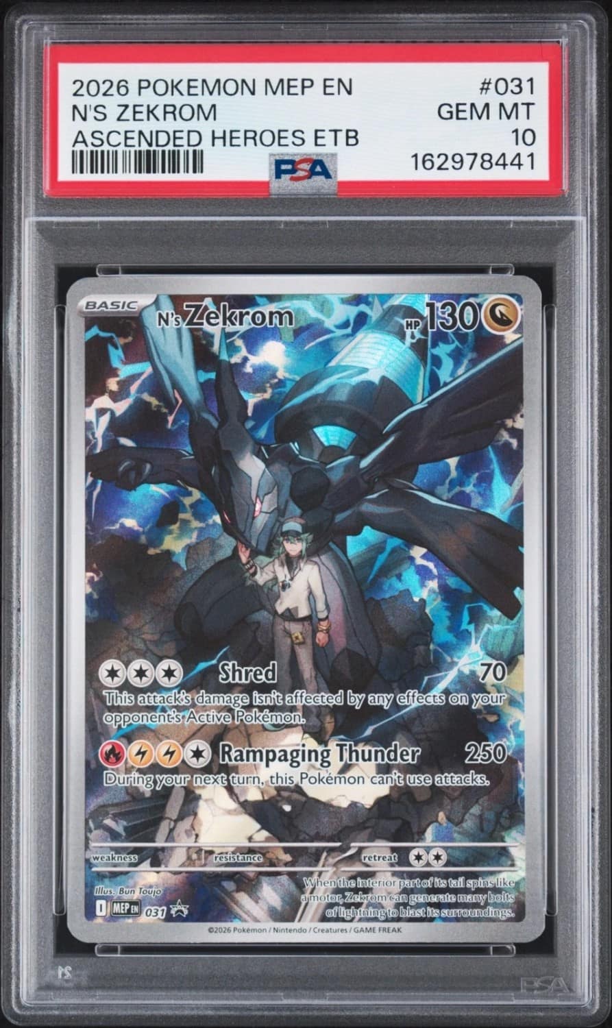 N'S Zekrom