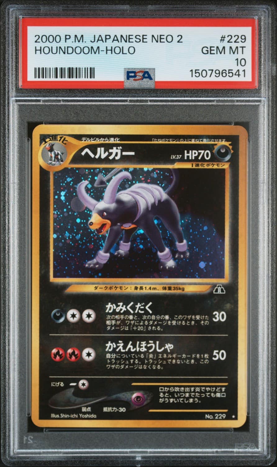 Houndoom