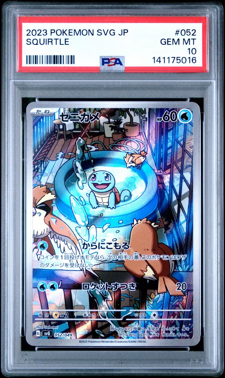 Squirtle