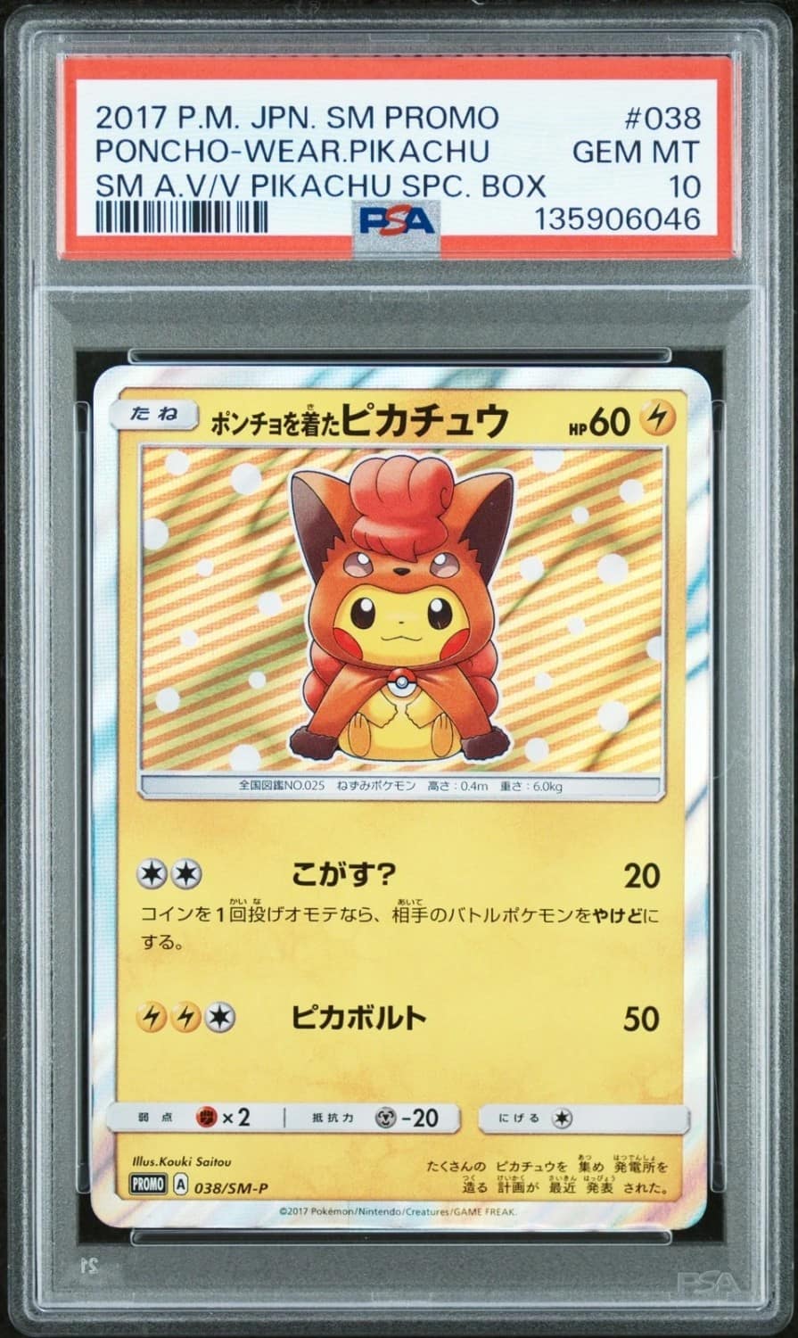 Poncho-Wearing Pikachu
