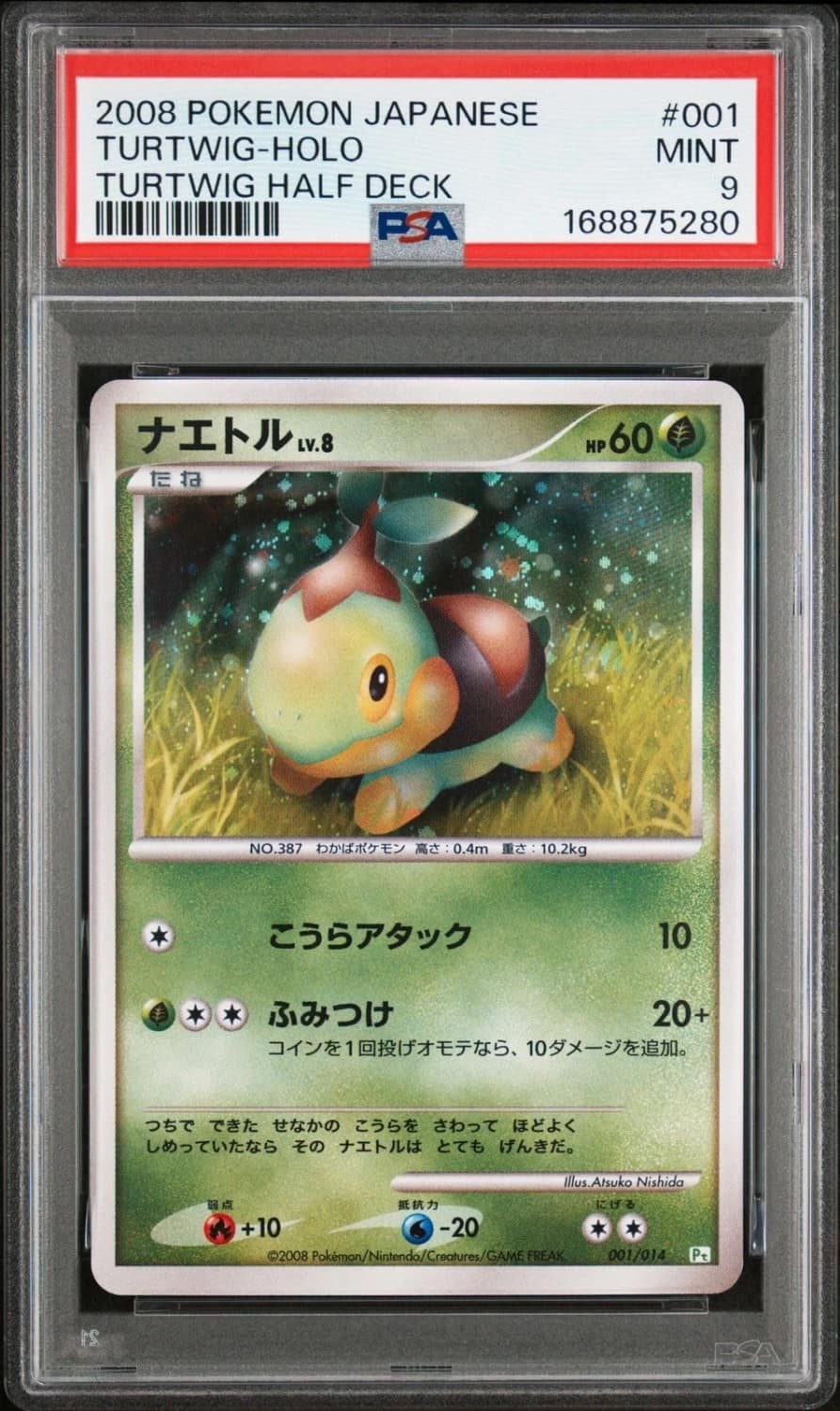 Turtwig
