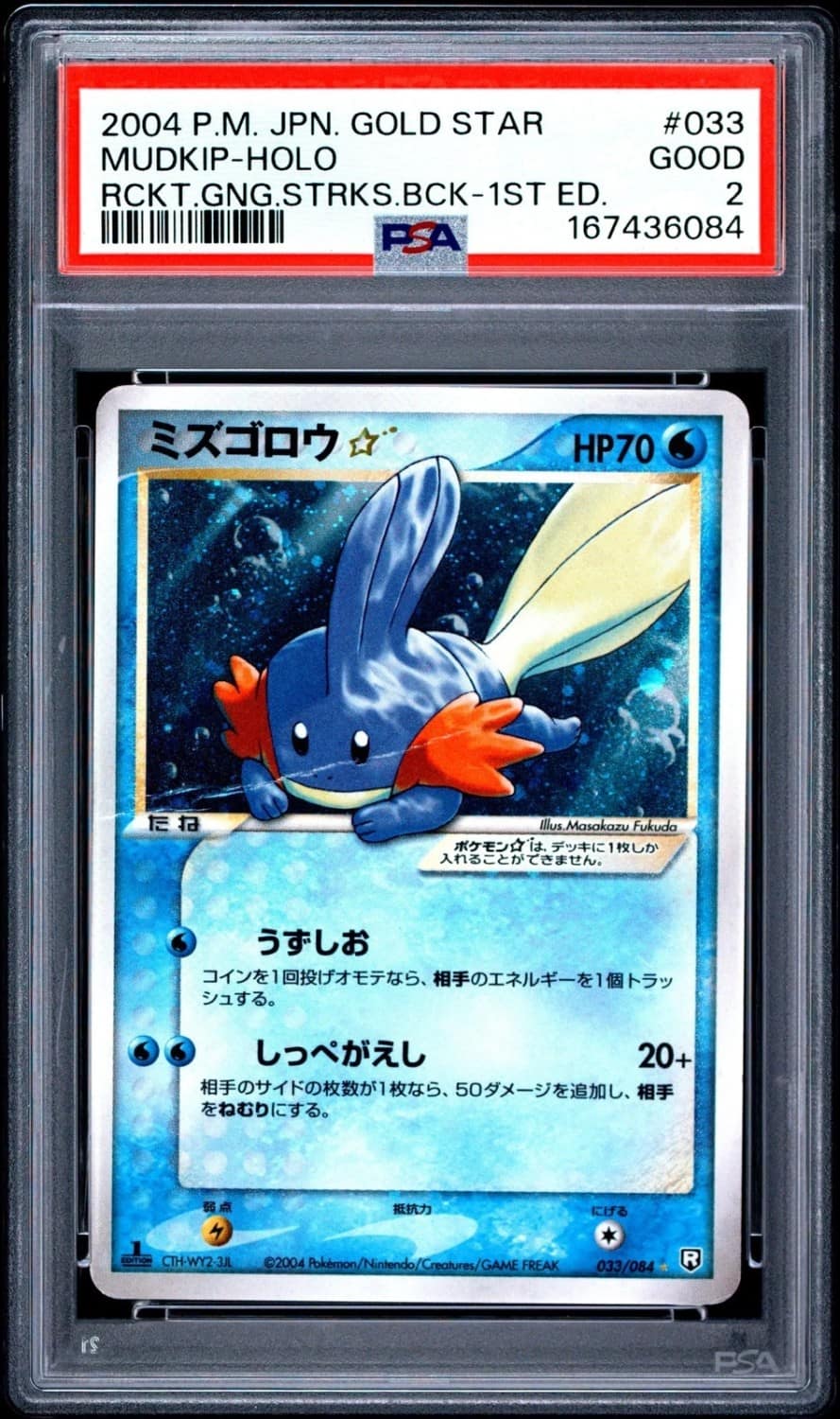 Mudkip