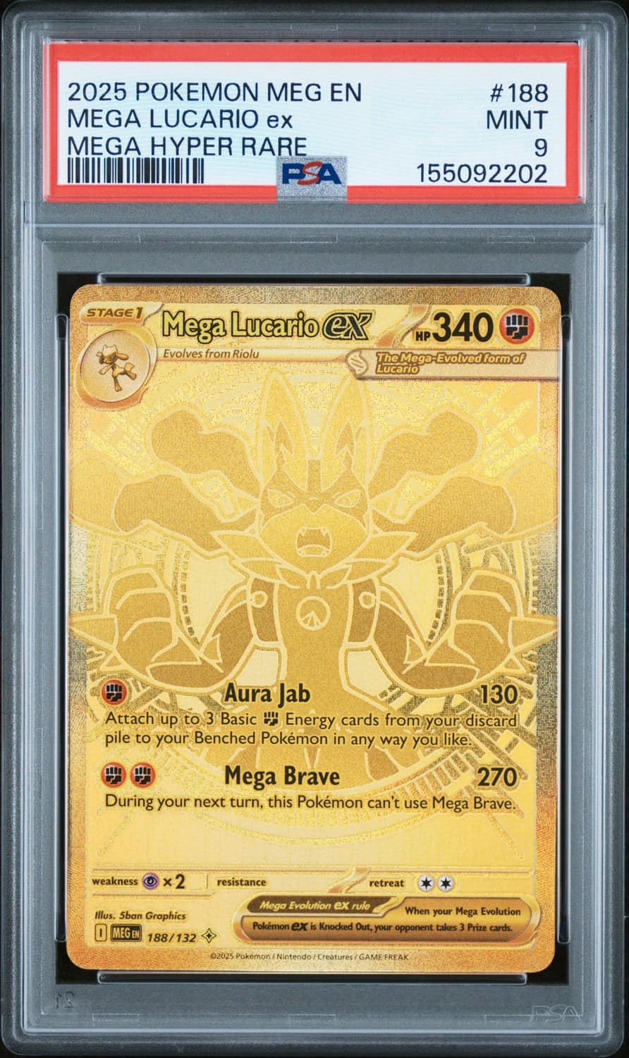 Mega Lucario Ex
