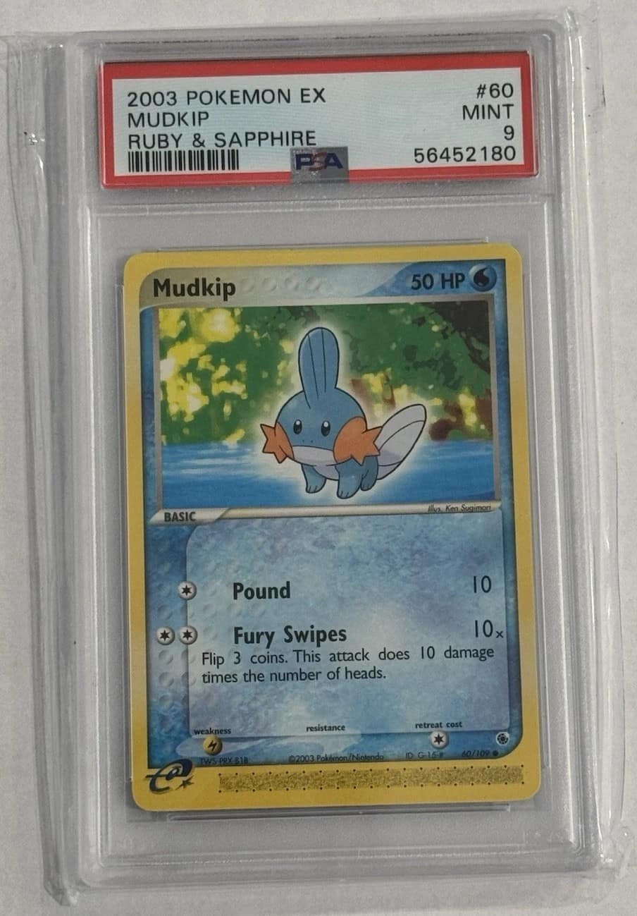 Mudkip