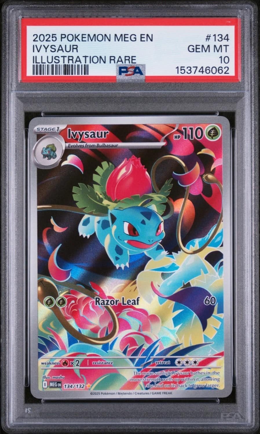 Ivysaur