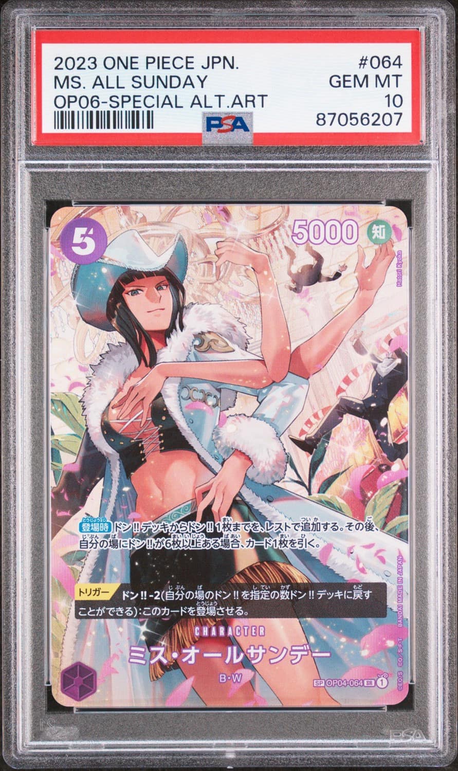 Ms. All Sunday Foil Sp