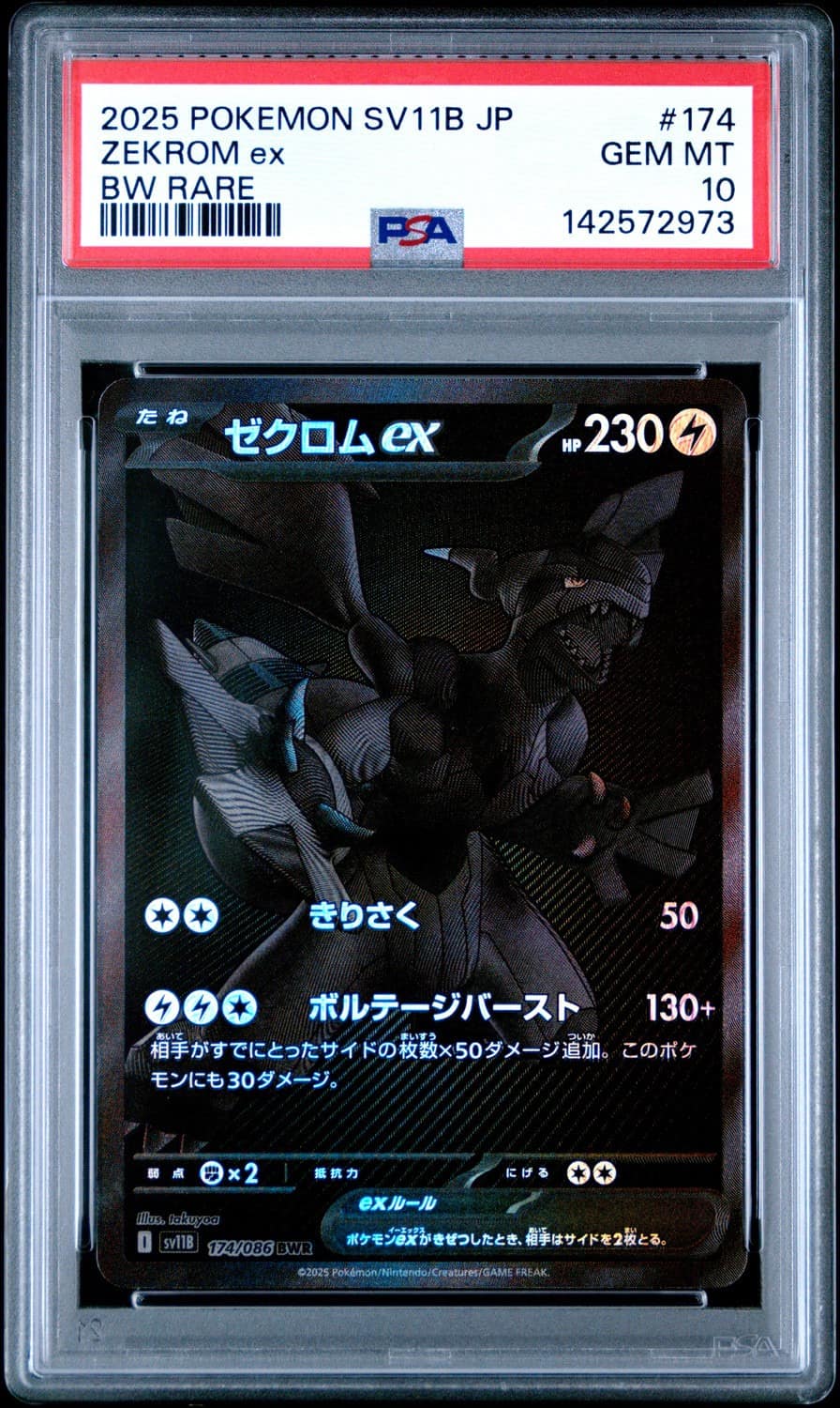 Zekrom Ex