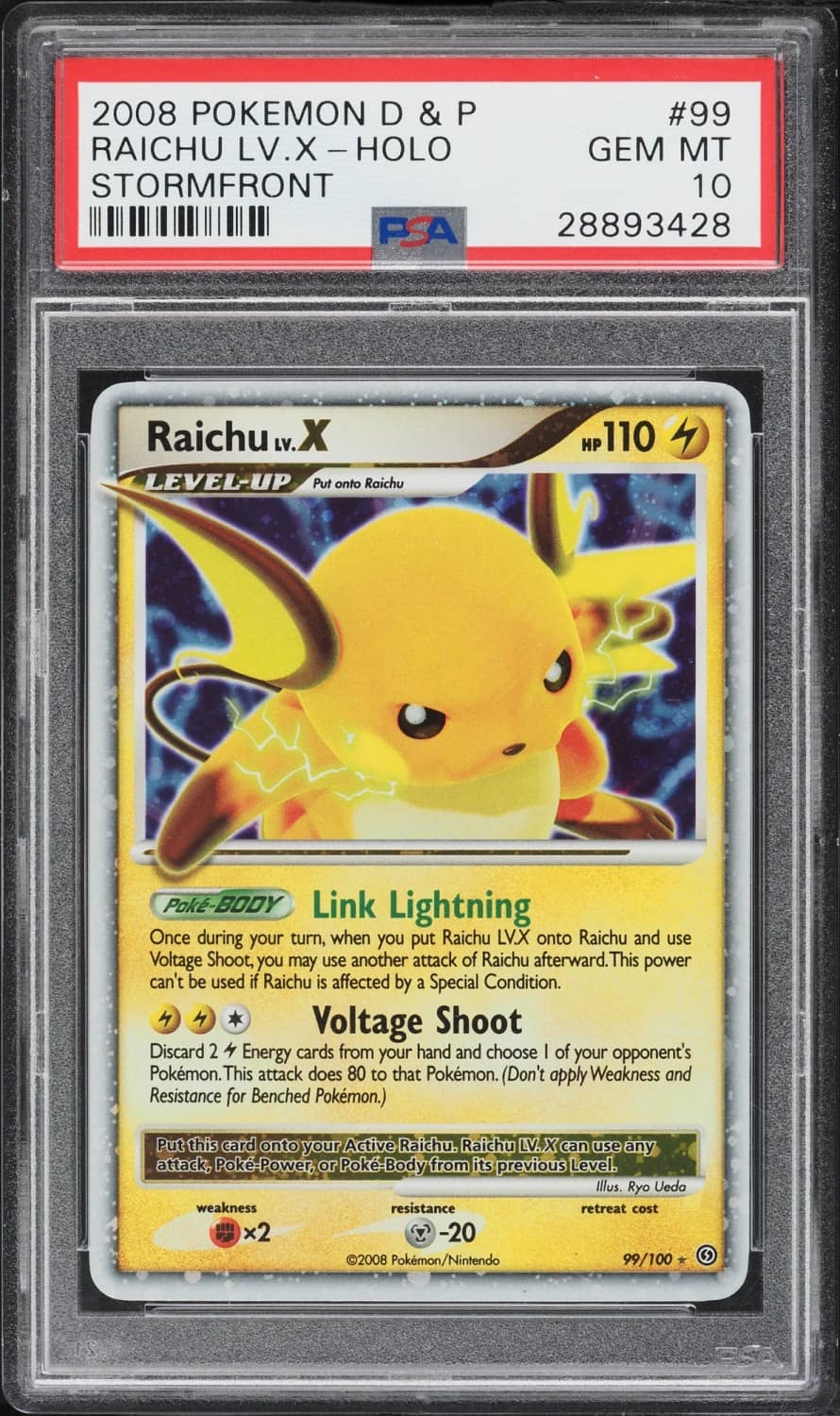 Raichu Lv.x