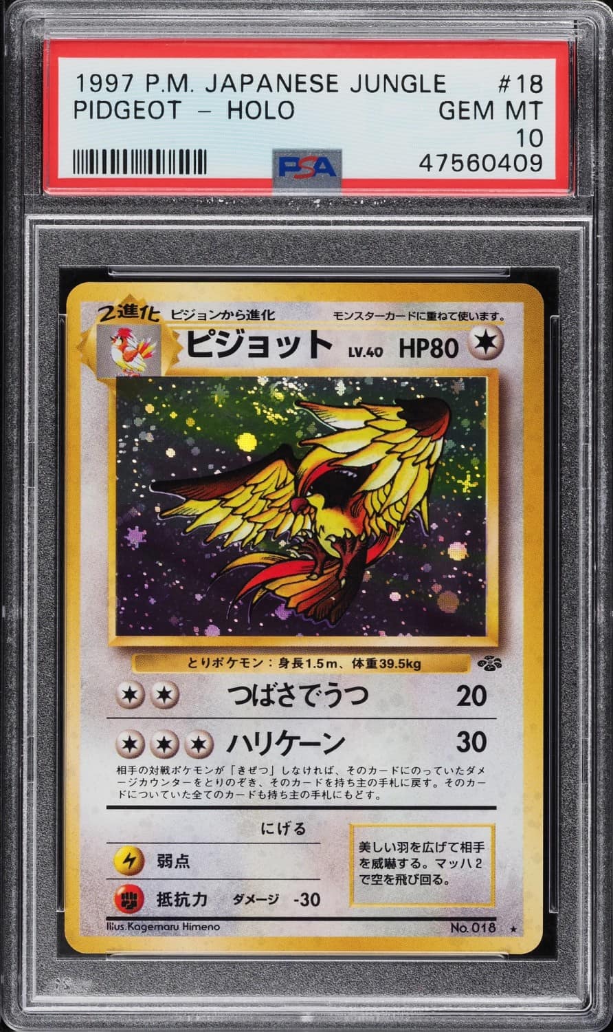 Pidgeot