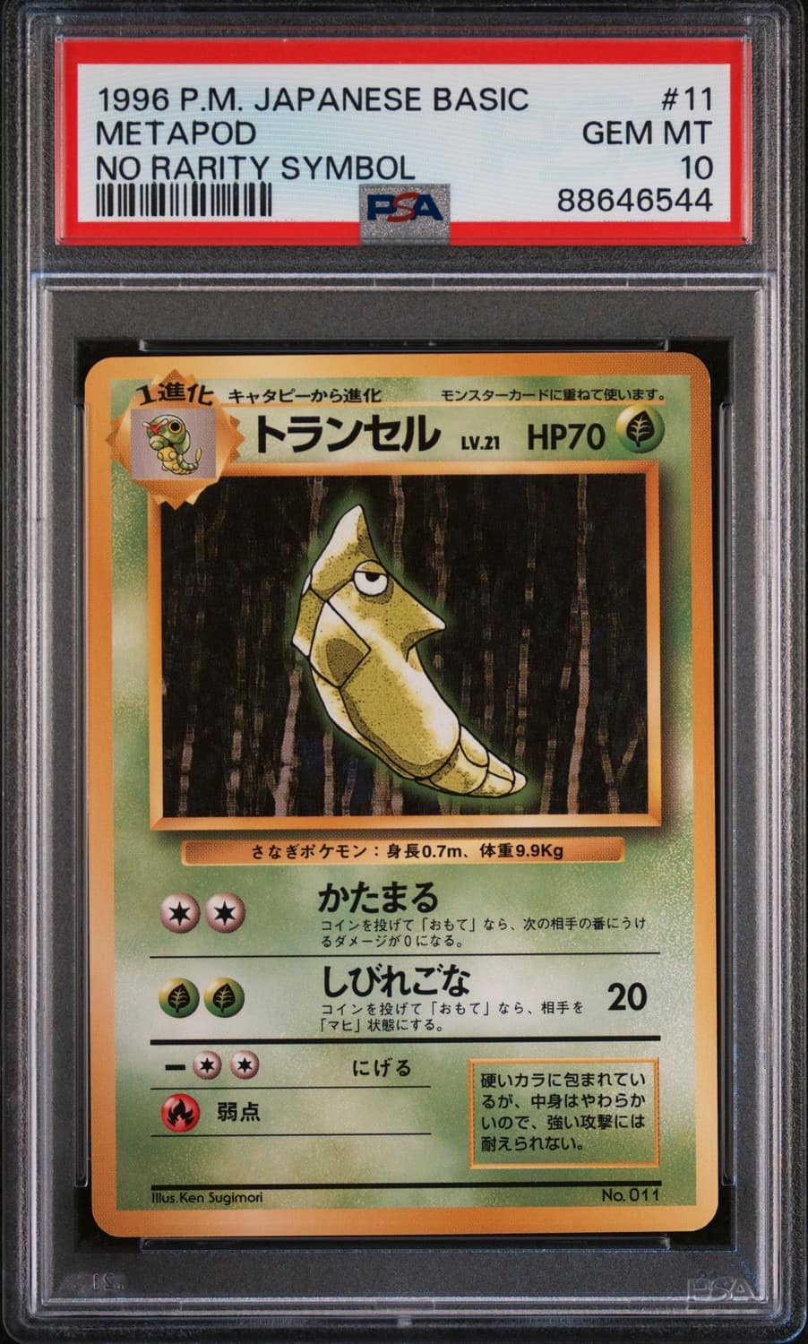 Metapod