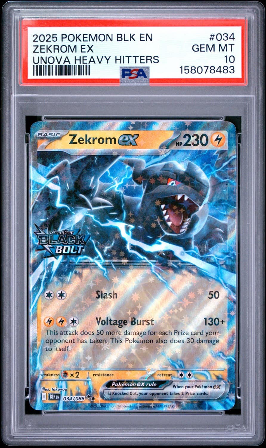 Zekrom Ex