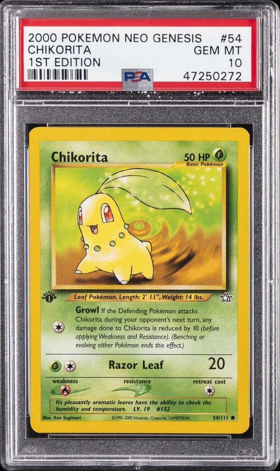 Chikorita