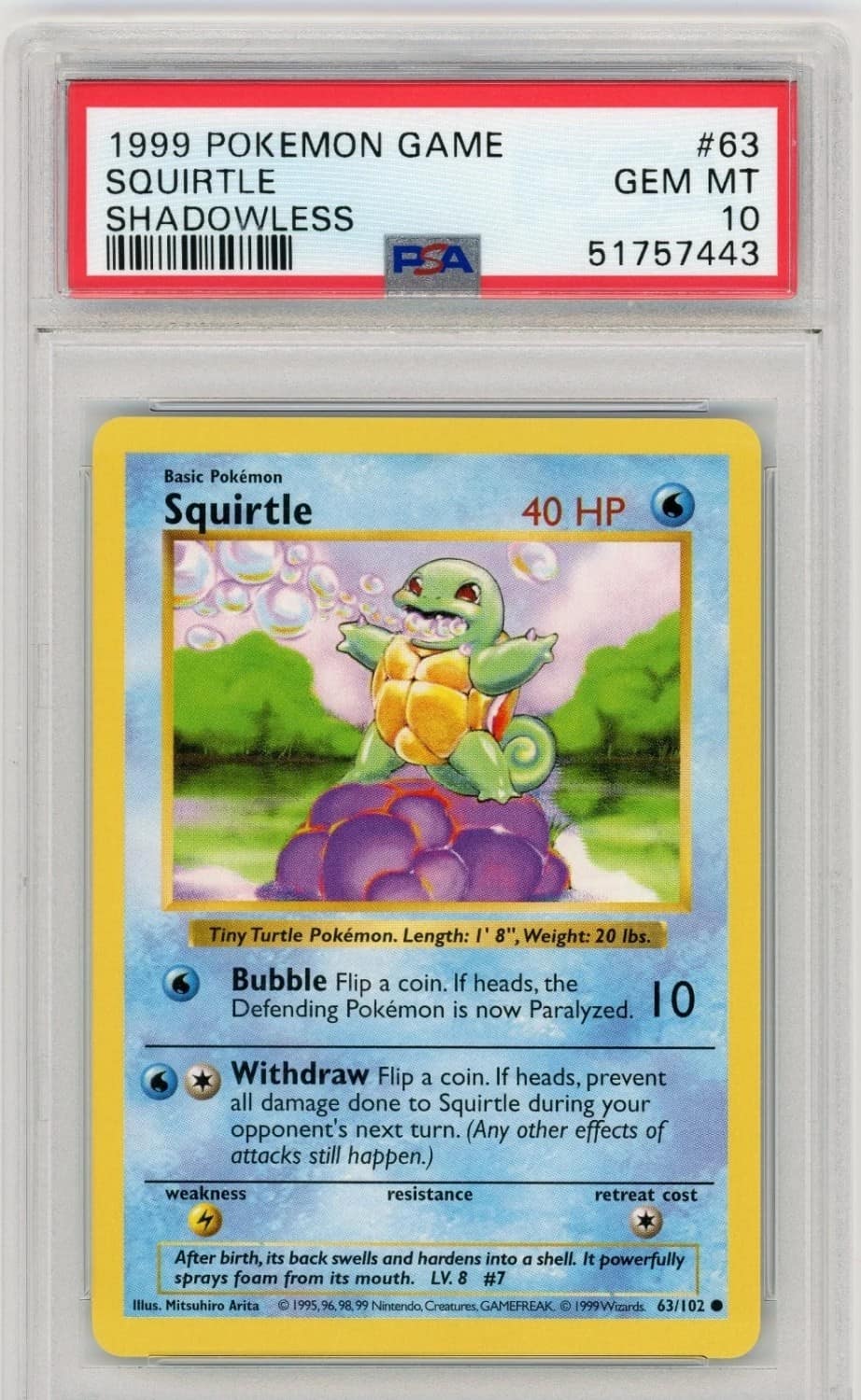 Squirtle